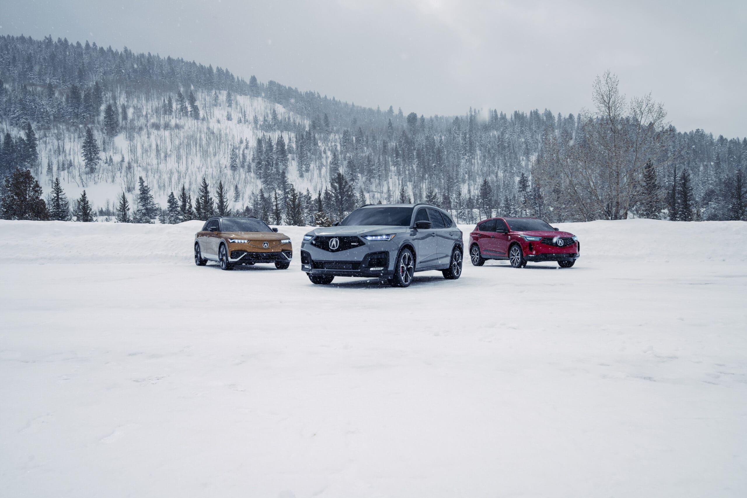 Acura Sundance